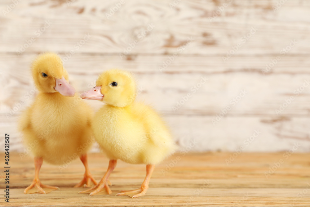 Cute ducklings on wooden table