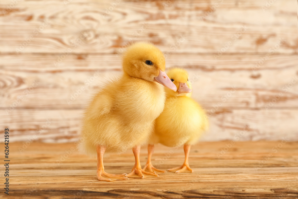 Cute ducklings on wooden table