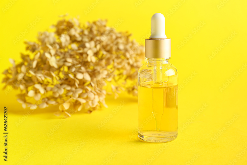 Bottle of essential oil and dried hydrangea on yellow background