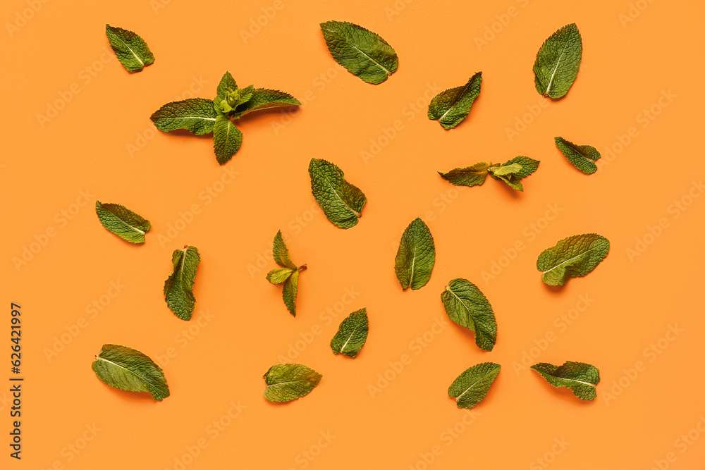 Composition with green mint leaves on color background