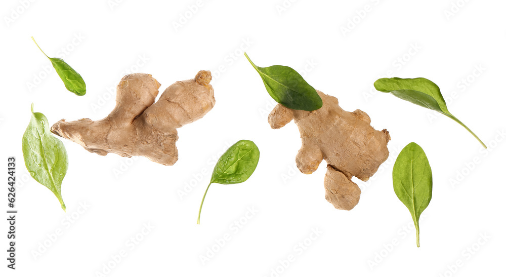 Flying ginger roots and basil leaves on white background