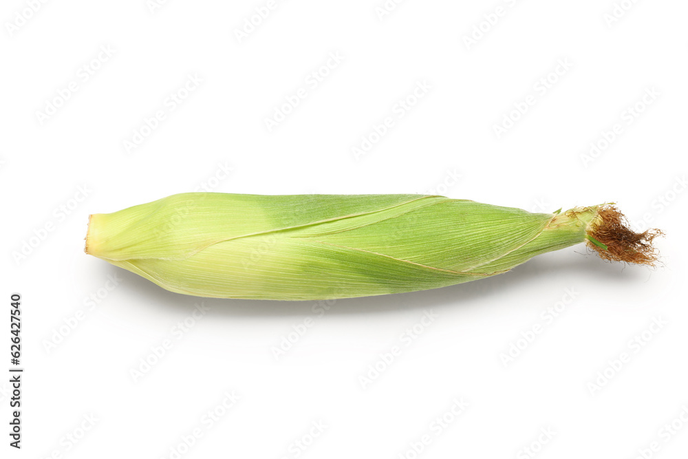 Fresh corn cob on white background