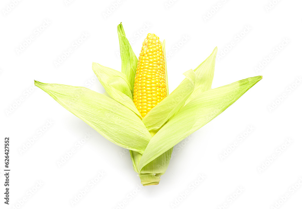 Fresh corn cob on white background