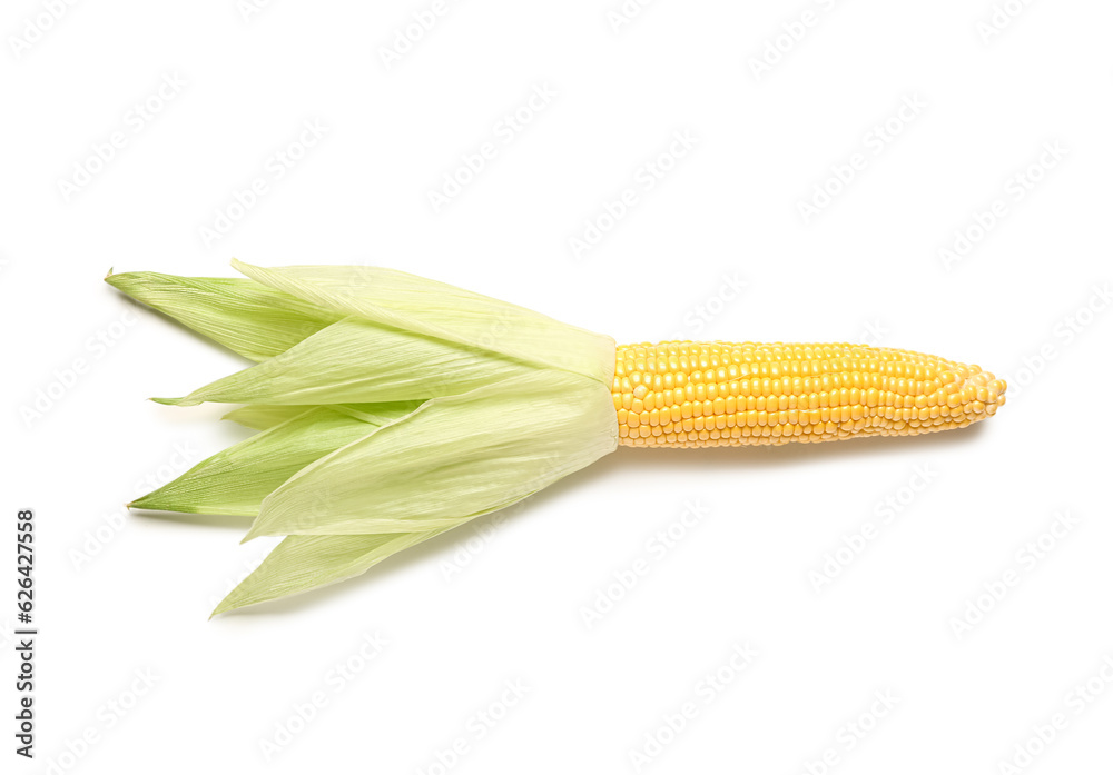 Fresh corn cob on white background