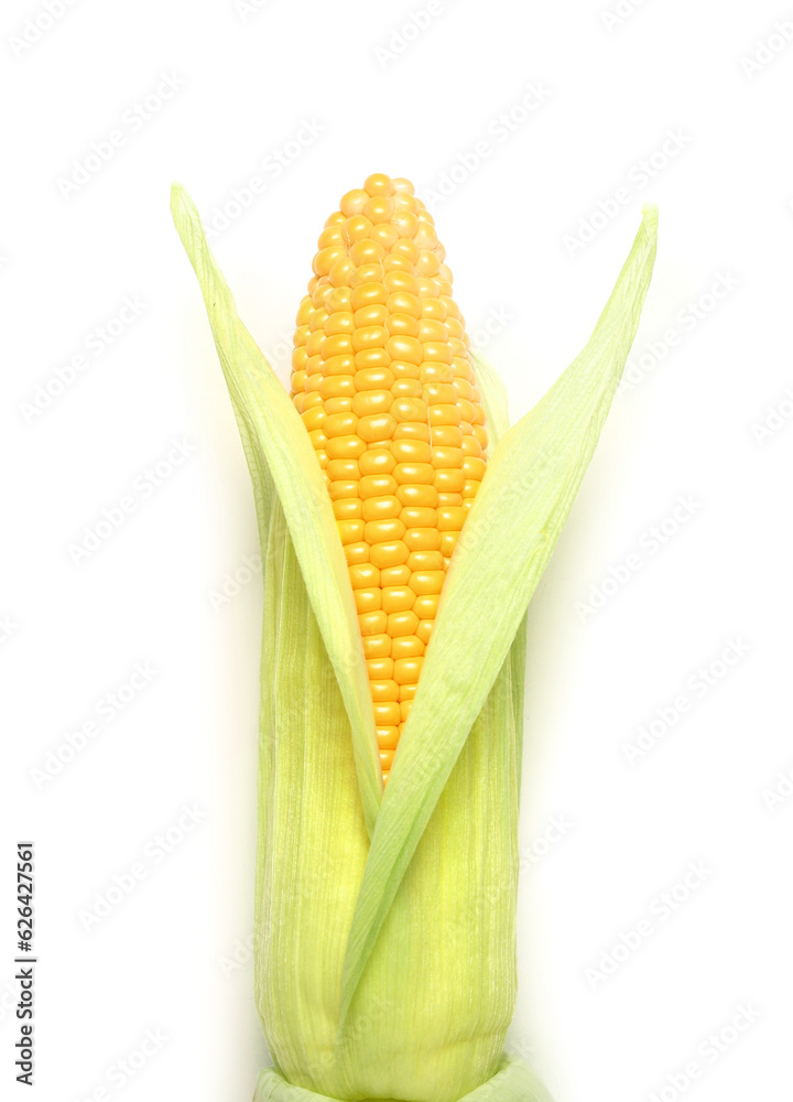 Fresh corn cob on white background