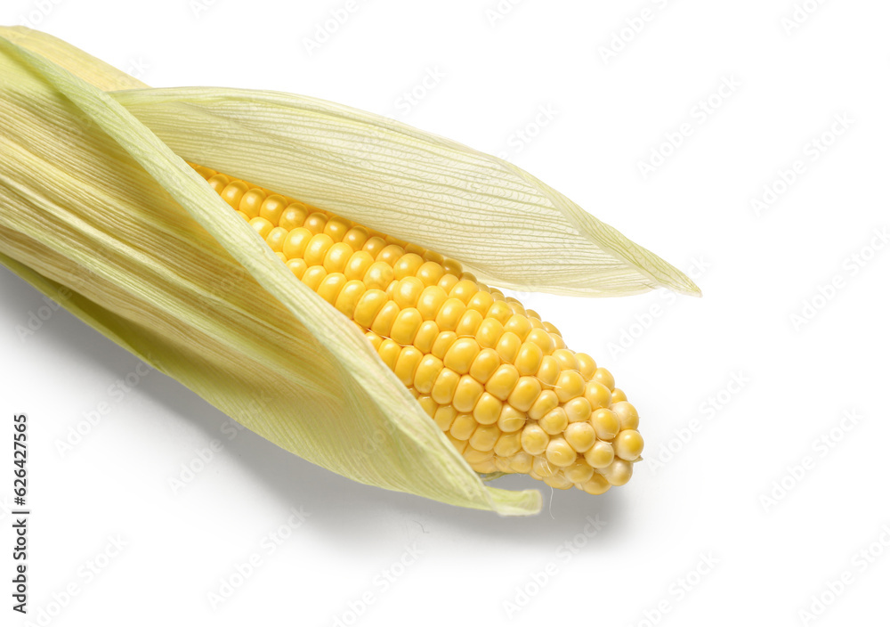 Fresh corn cob on white background