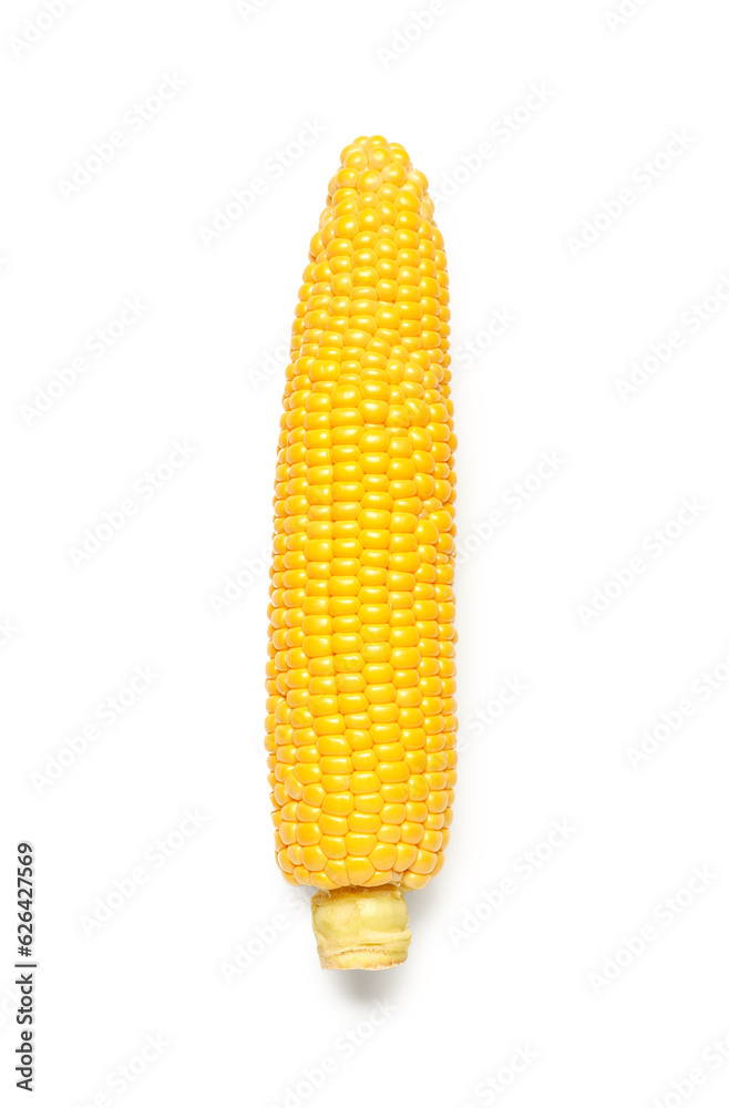 Fresh corn cob on white background