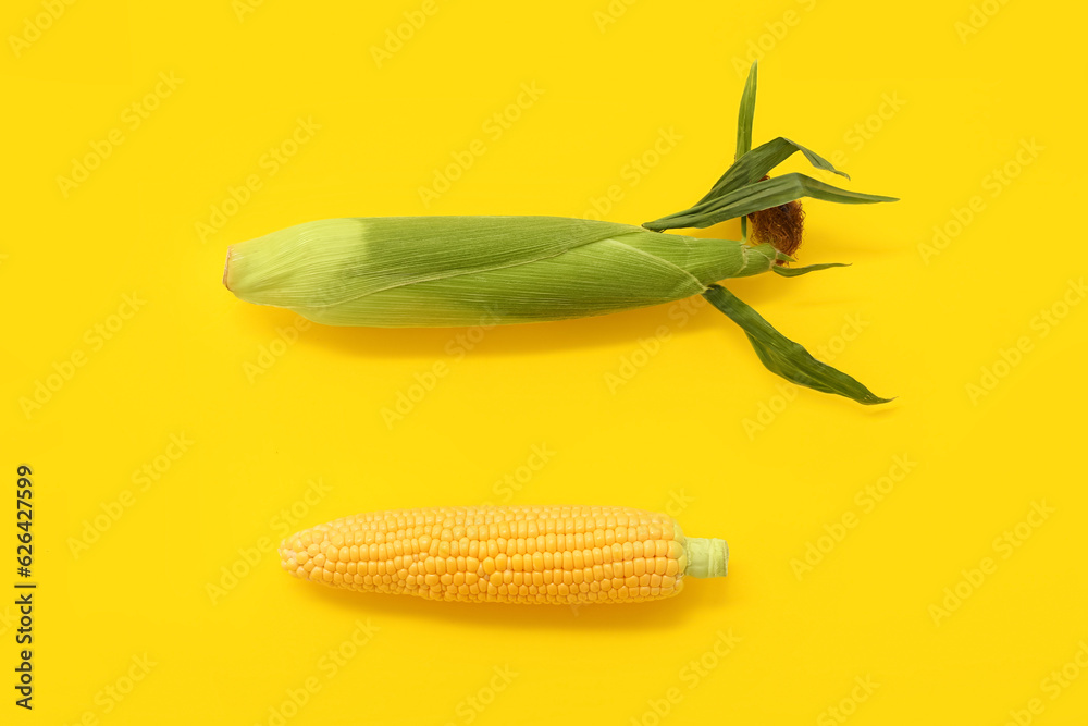 Fresh corn cobs on yellow background