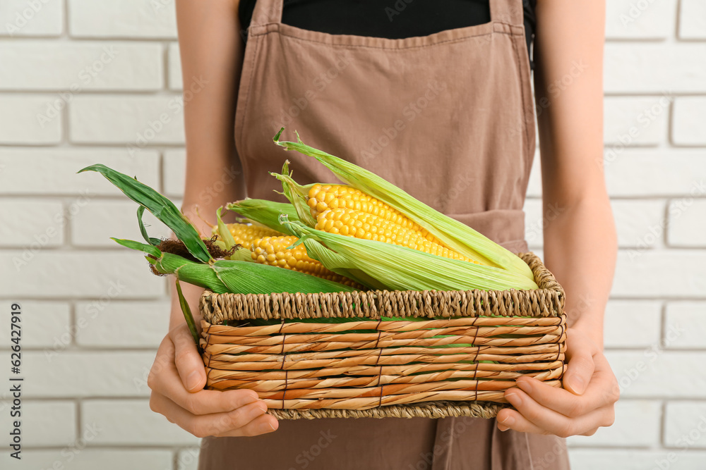 Woman holding wicker basket with fresh corn cobs on white brick wall background