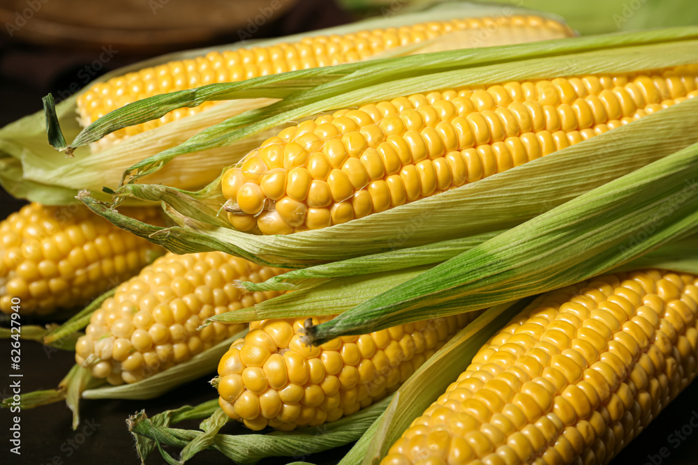 Fresh corn cobs on black wooden table