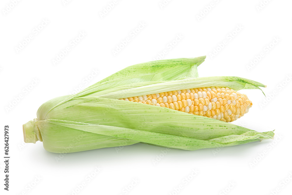 Fresh corn cob on white background