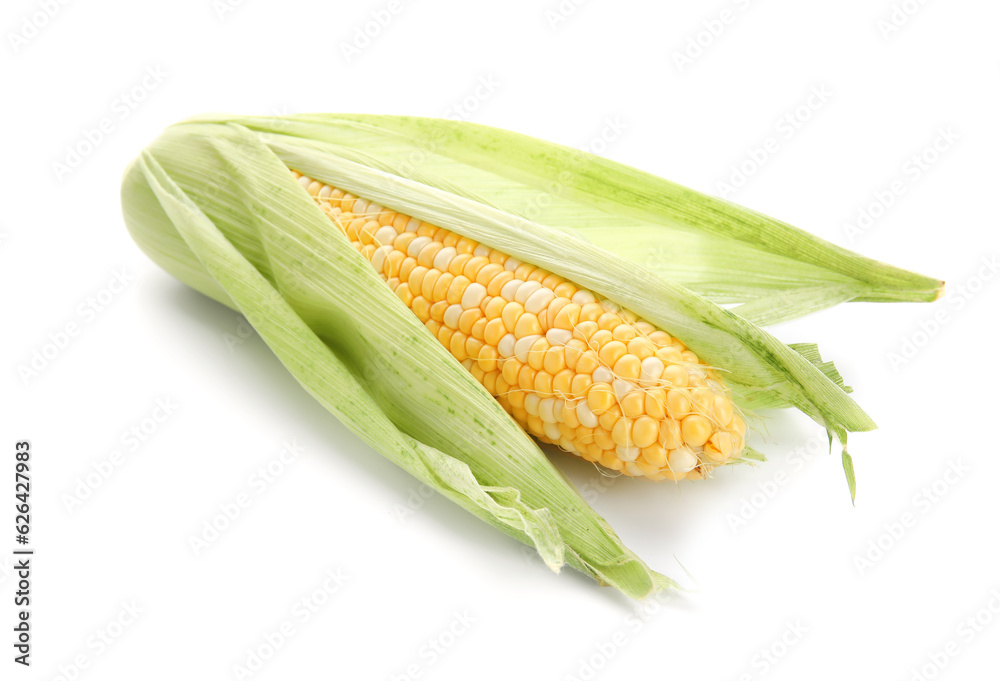 Fresh corn cob on white background