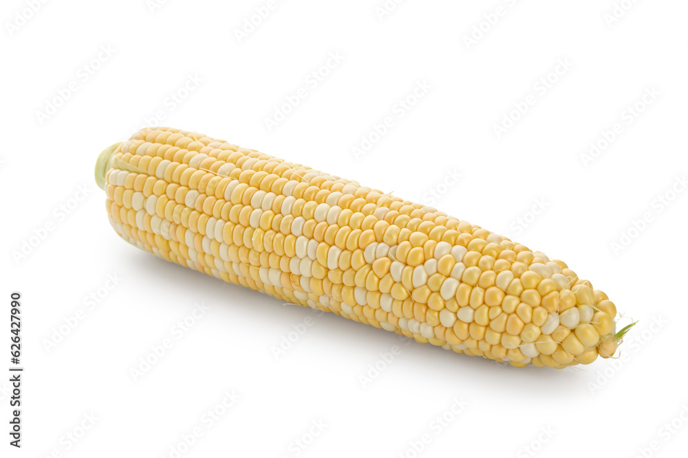 Fresh corn cob on white background