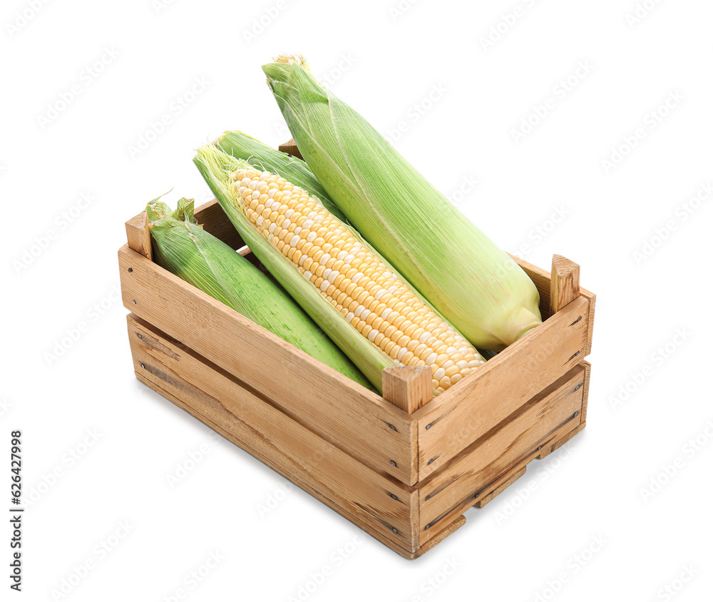 Wooden box with fresh corn cobs on white background