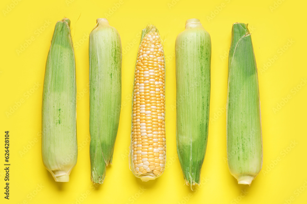 Fresh corn cobs on yellow background