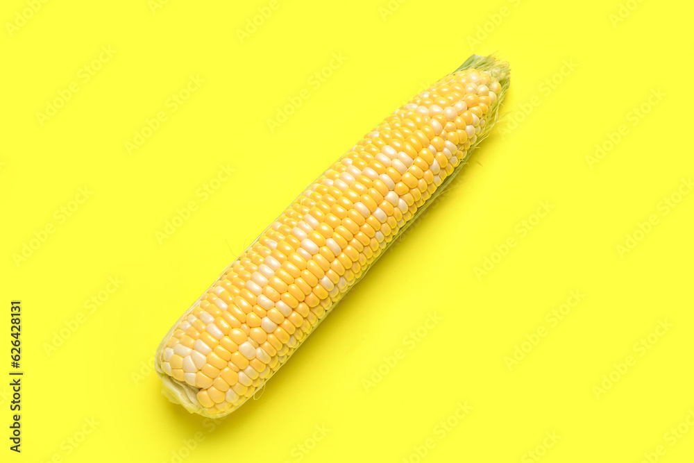 Fresh corn cob on yellow background