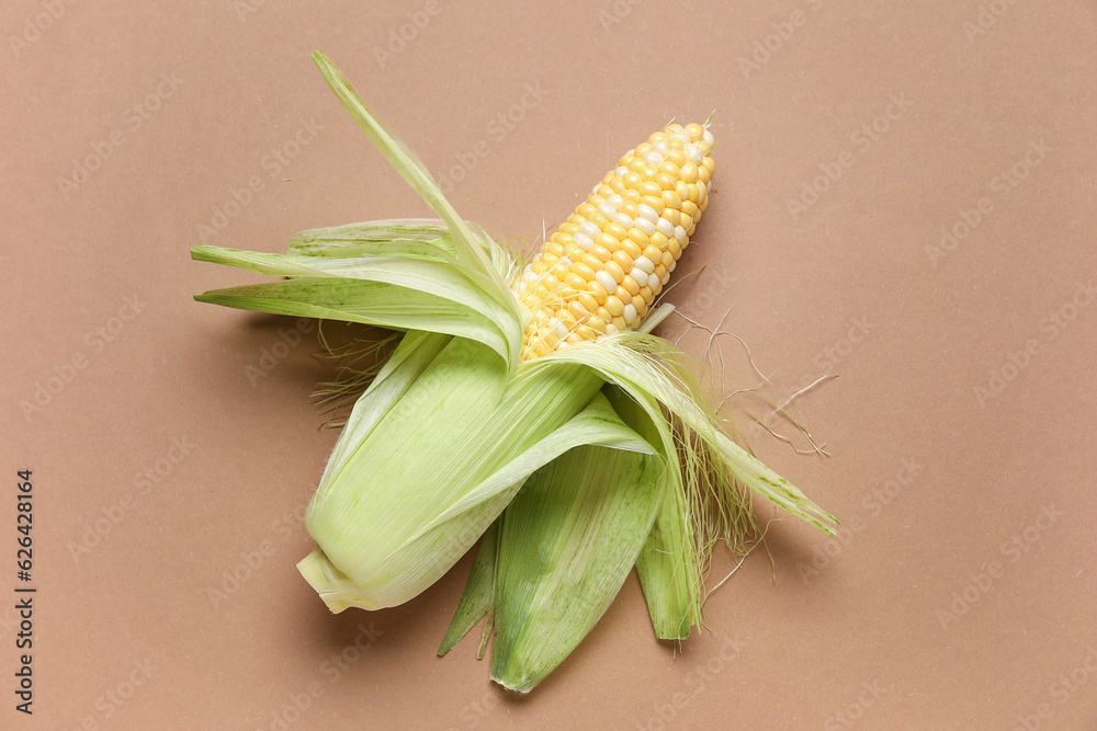 Fresh corn cob on brown background