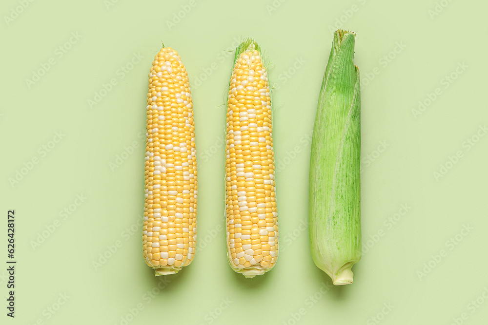 Fresh corn cobs on green background