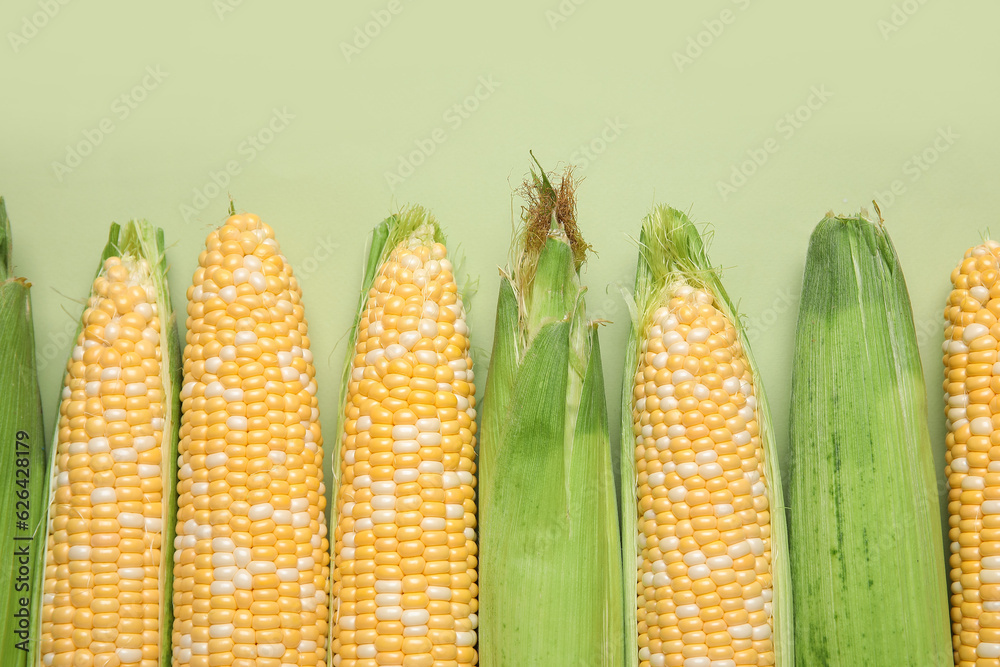 Fresh corn cobs on green background