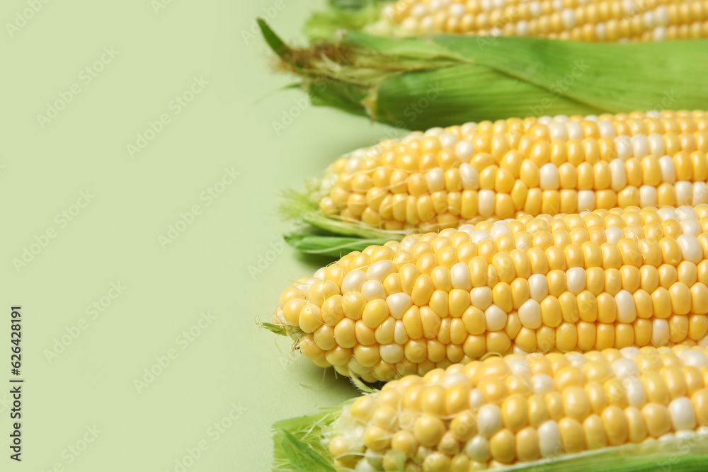 Fresh corn cobs on green background