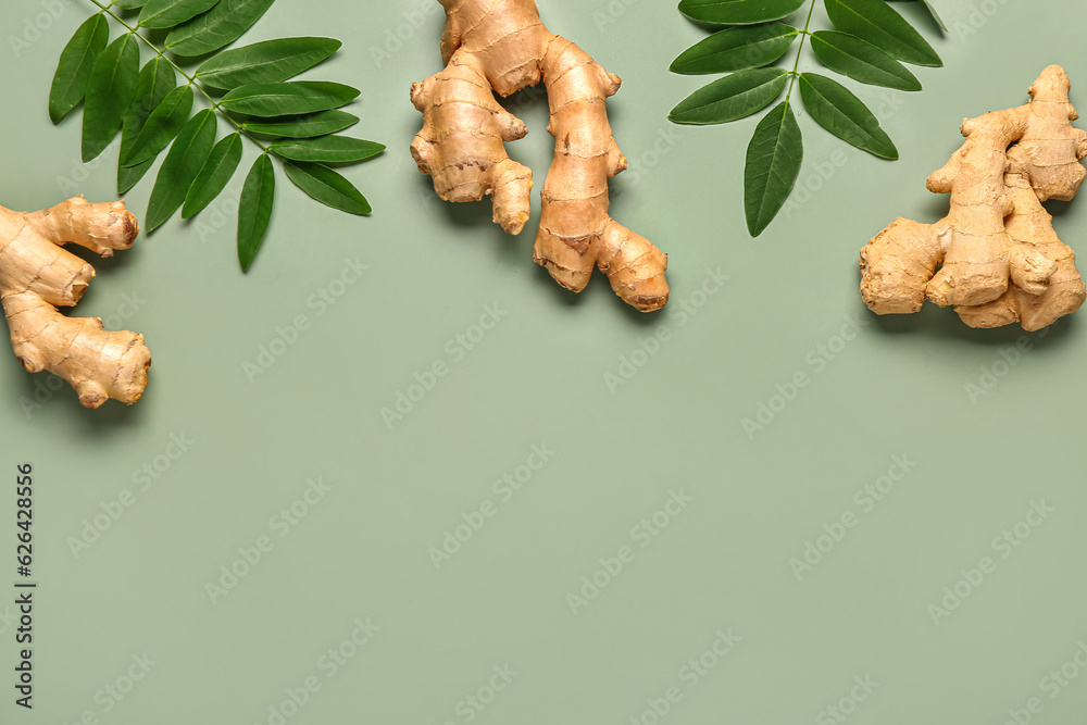 Fresh ginger roots and leaves on green background