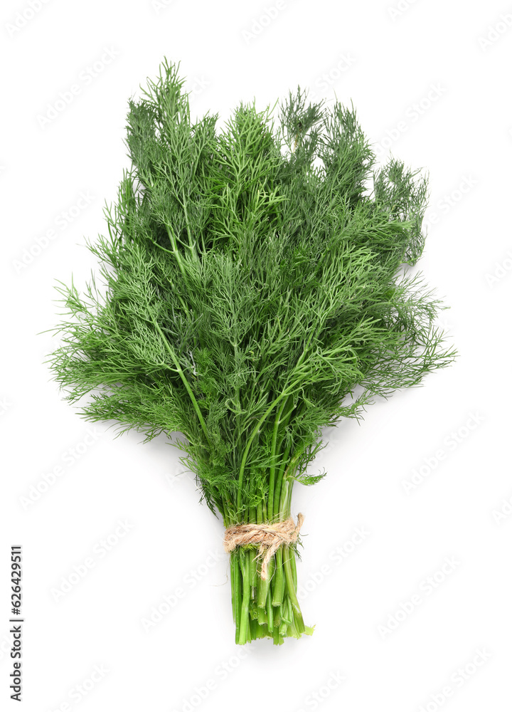 Bunch of fresh dill on white background