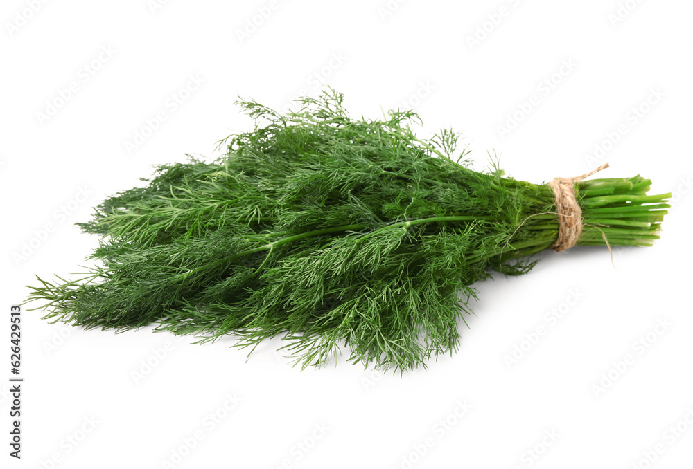 Bunch of fresh dill on white background