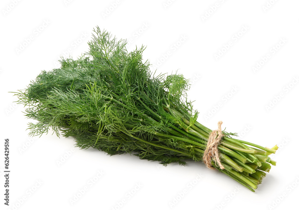 Bunch of fresh dill on white background