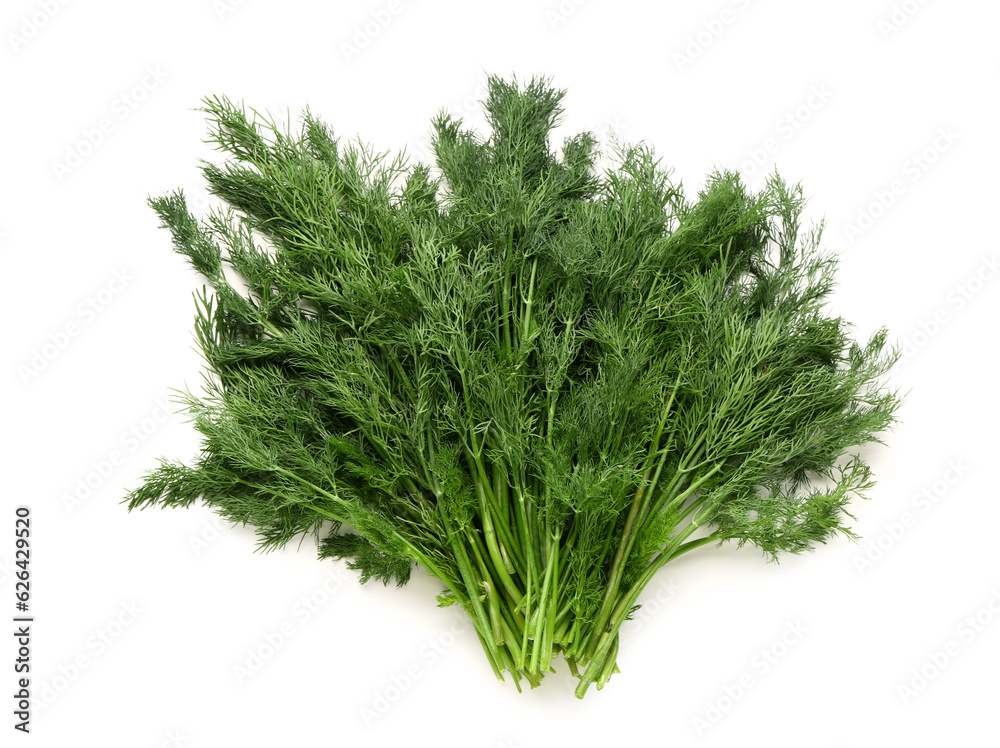 Fresh dill isolated on white background