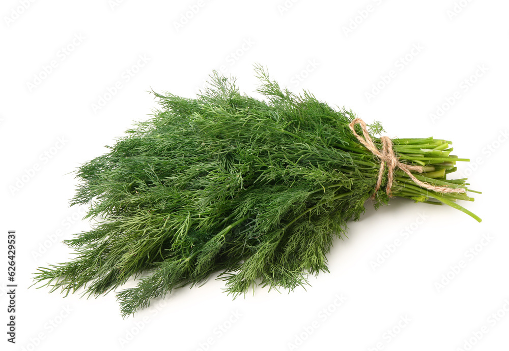 Bunch of fresh dill on white background