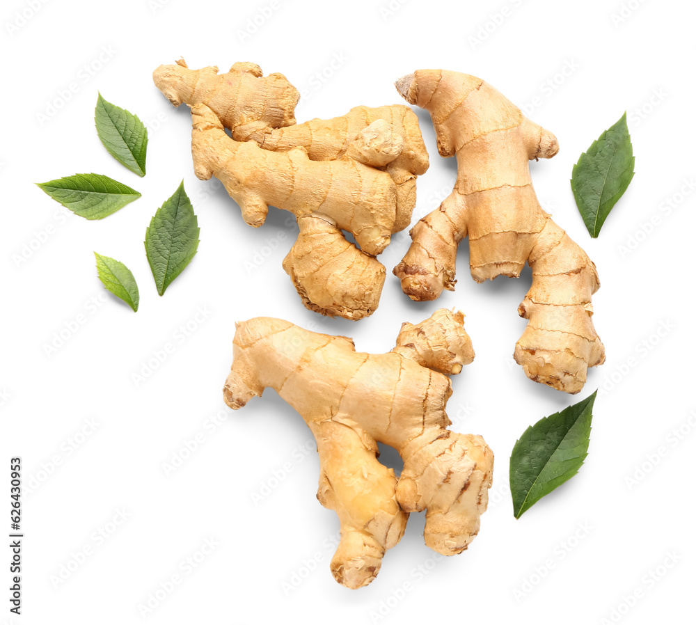 Fresh ginger roots and leaves on white background