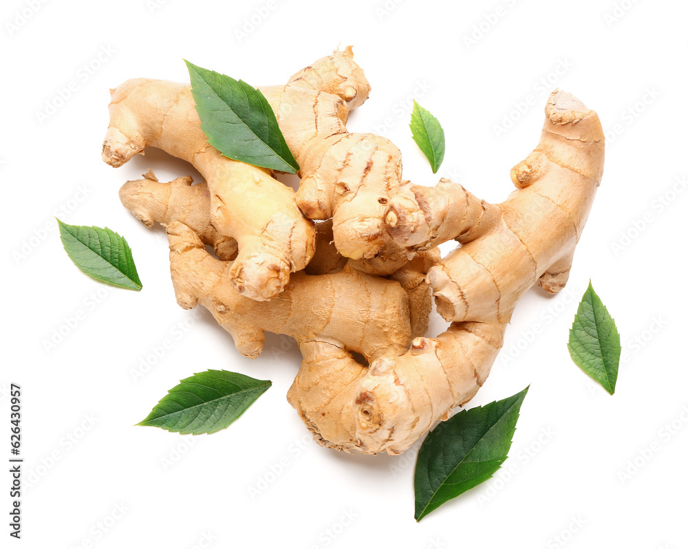 Fresh ginger roots and leaves on white background