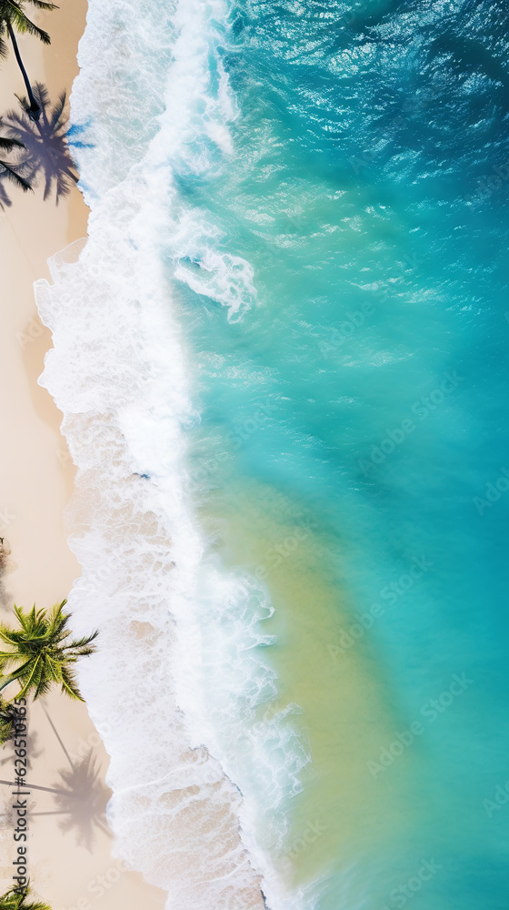 Aerial top view on sand ocean beach with palm trees. Summer vacation paradise concept. Vertical. Gen