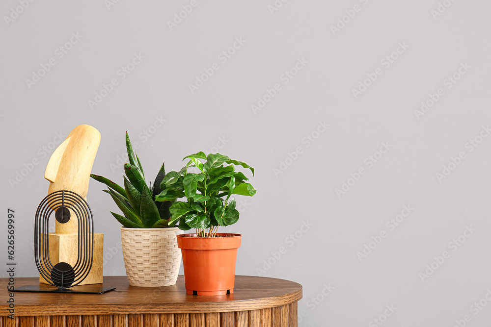 Green houseplants with decor on table near grey wall