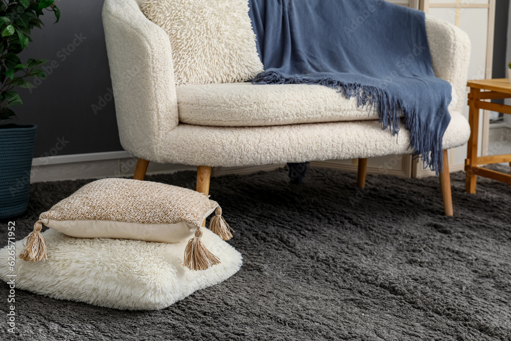 Interior of modern living room with white sofa, cushions and black carpet