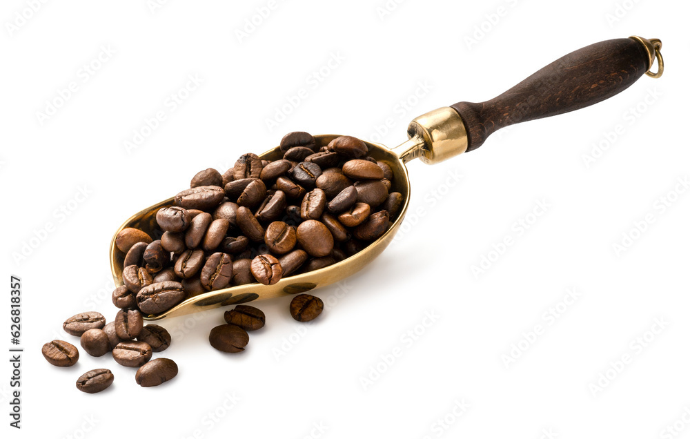 Scoop of coffee beans. Coffee beans in scoop isolated.