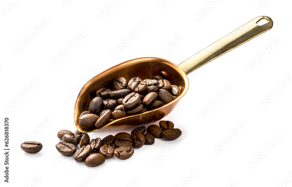 Scoop of coffee beans. Coffee beans in scoop isolated.