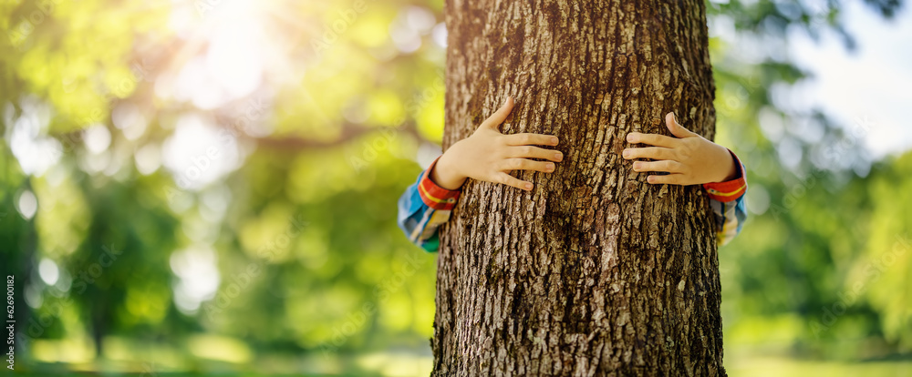 Child hugging an old tree in the natural park.