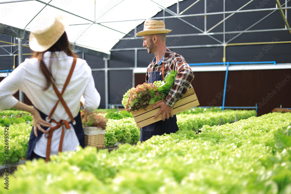 Happy couple farmers working on hydroponics farm, small family business. Farmers are checking the qu