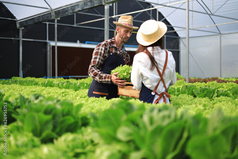 Happy couple farmers working on hydroponics farm, small family business. Farmers are checking the qu