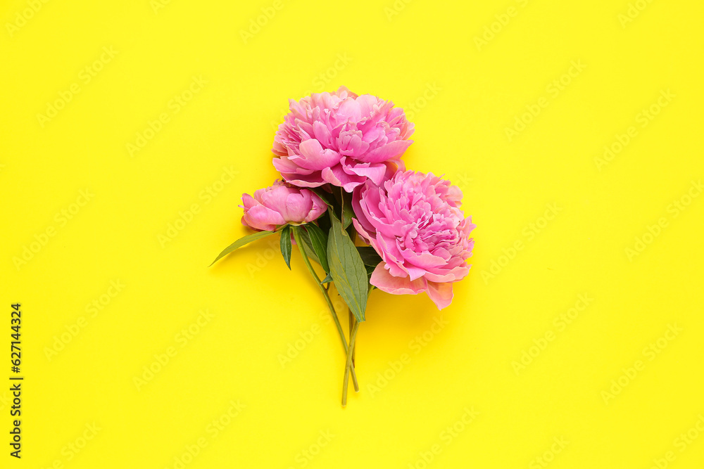 Beautiful peony flowers on yellow background