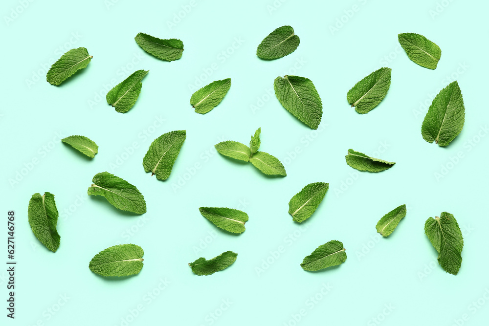 Composition with fresh mint leaves on color background