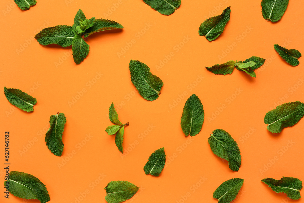 Composition with green mint leaves on color background