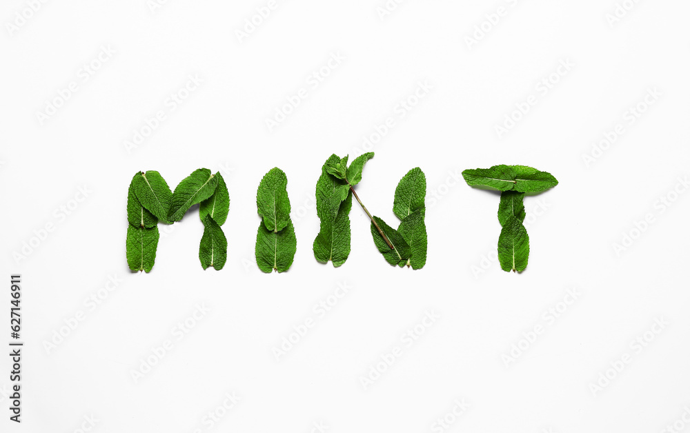 Word mint made of green leaves on white background