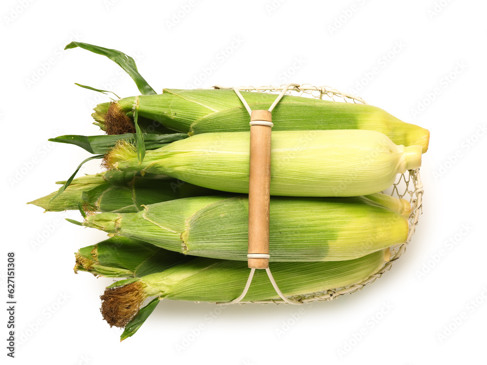 Basket with fresh corn cobs on white background