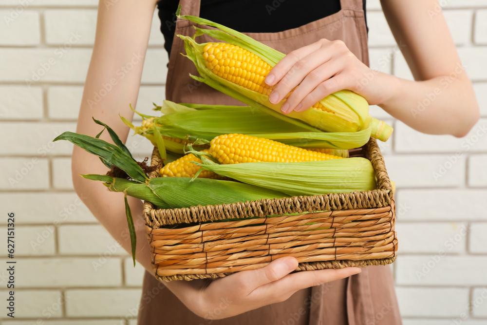 Woman holding wicker basket with fresh corn cobs on white brick wall background