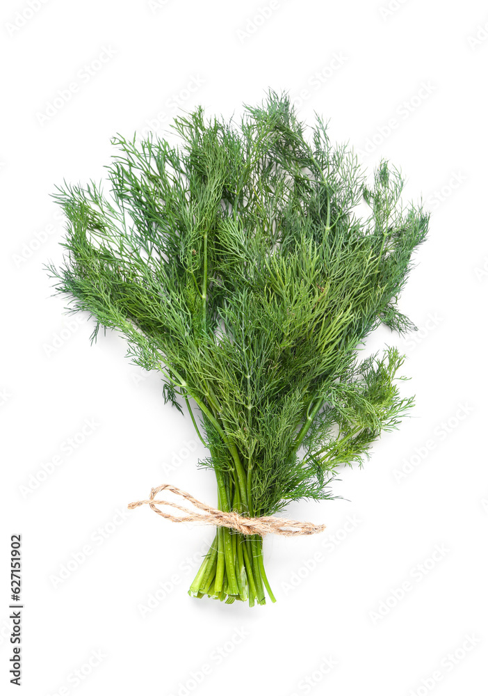 Bunch of fresh dill on white background