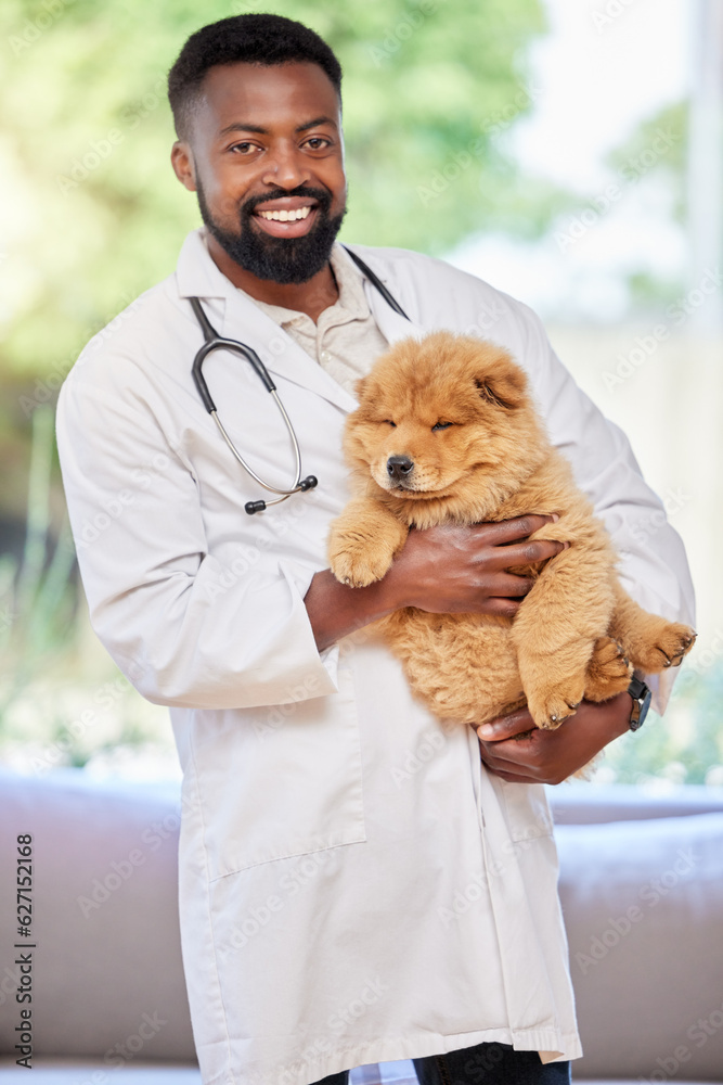 Black man, vet and portrait with puppy for clinic, medical and animal support with a smile. Happy, A