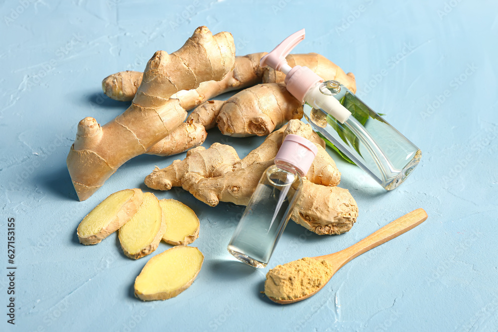 Bottles of ginger cosmetic oil and wooden spoon with dried powder on blue background