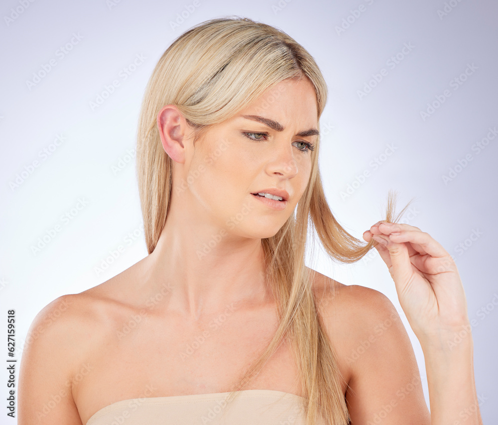 Woman worry of split end in studio, background and beauty concern of hair loss, problem and damage. 